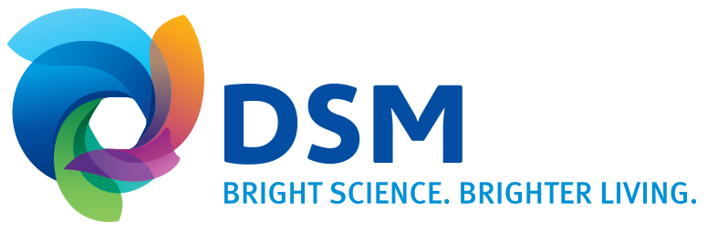 logo-dsm